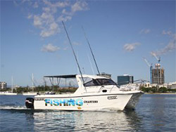 Fishing Charters Paradise Fishing